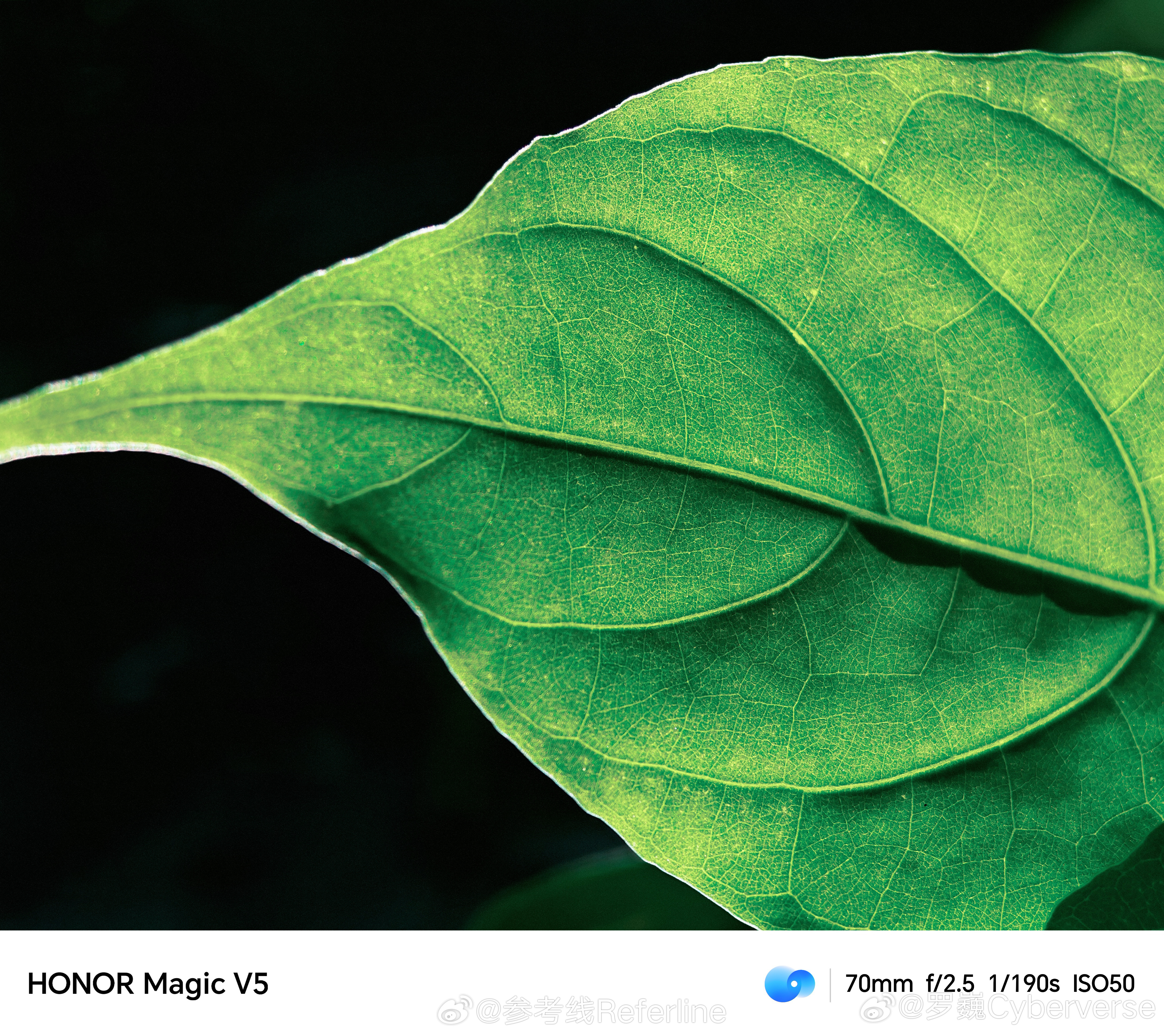 荣耀Magic V5将搭载6400万像素超感光长焦|界面新闻 · 快讯